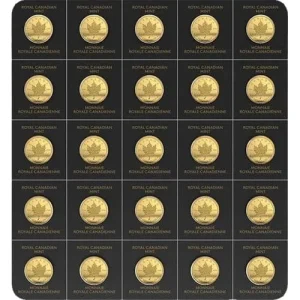 2022 25 Gram Canadian Gold MapleGram 25x 1g rev 1