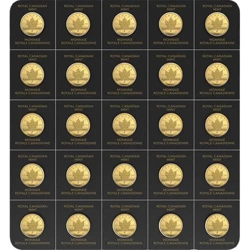 2022 25 Gram Canadian Gold MapleGram (25x1g, BU w/Assay)