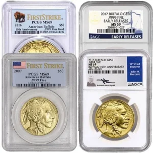 1 oz American Gold Buffalo Coin MS69 (Random Year Varied Label PCGS or NGC)